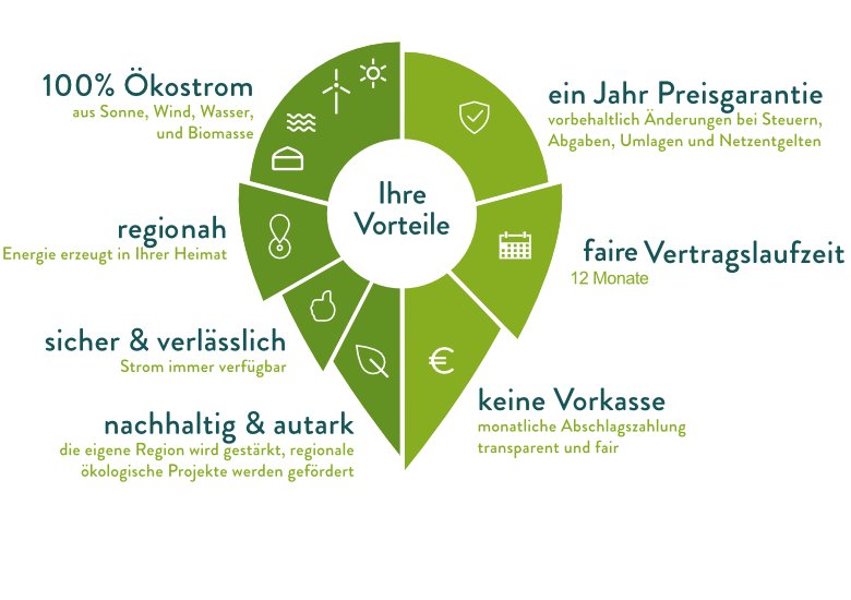 100& Ökostrom, 1 Jahr Preisgarantie, kurze Vertragslaufzeit, keine Vorlasse, nachhaltig
